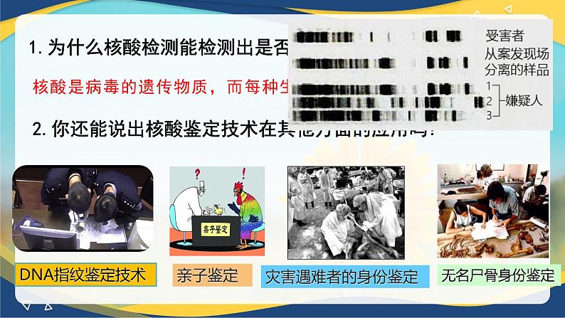 2.5 核酸是遗传信息的携带者-2024-2025学年高一生物同步课件（人教版2019必修1）第1页