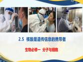 2.5 核酸是遗传信息的携带者-2024-2025学年高一生物同步课件（人教版2019必修1）