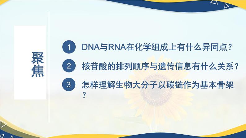 2.5 核酸是遗传信息的携带者-2024-2025学年高一生物同步课件（人教版2019必修1）第3页