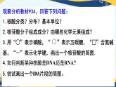 2.5 核酸是遗传信息的携带者-2024-2025学年高一生物同步课件（人教版2019必修1）