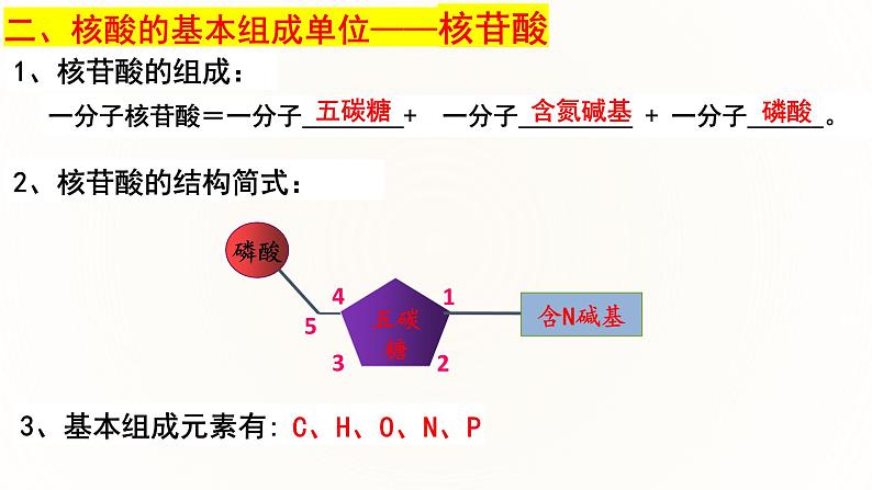 2.5 核酸是遗传信息的携带者-2024-2025学年高一生物同步课件（人教版2019必修1）第8页