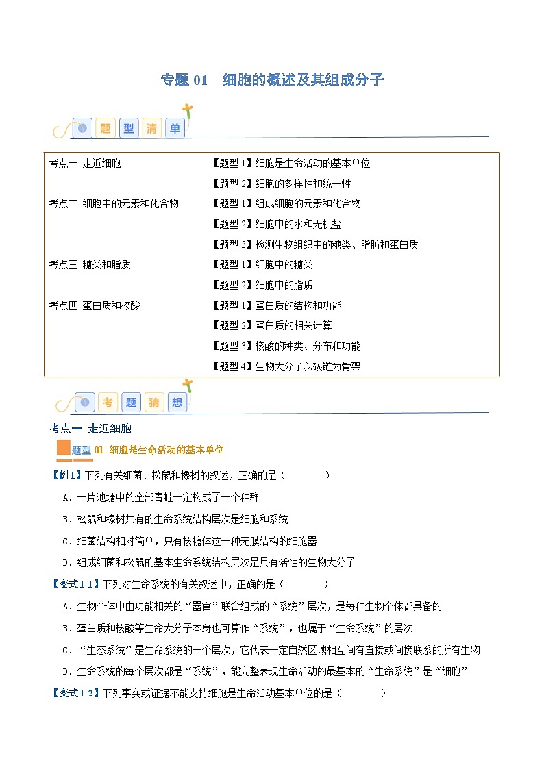 专题01 细胞的概述及其组成分子（11大题型）-2025年高考生物一轮复习题型冲关讲义（新高考通用）01