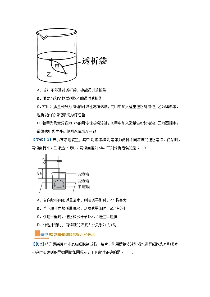 专题03 细胞的物质运输（4大题型）（原卷版）第2页