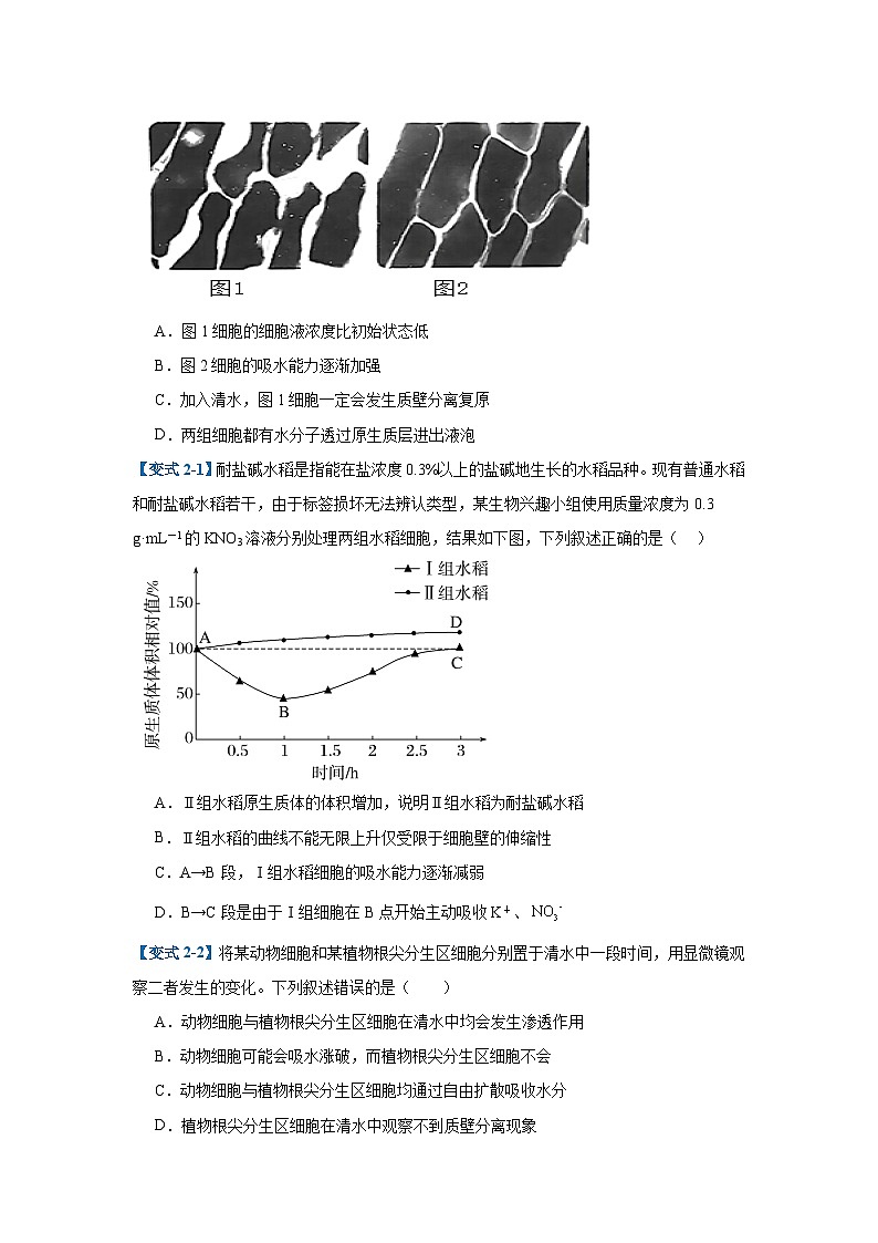 专题03 细胞的物质运输（4大题型）（原卷版）第3页