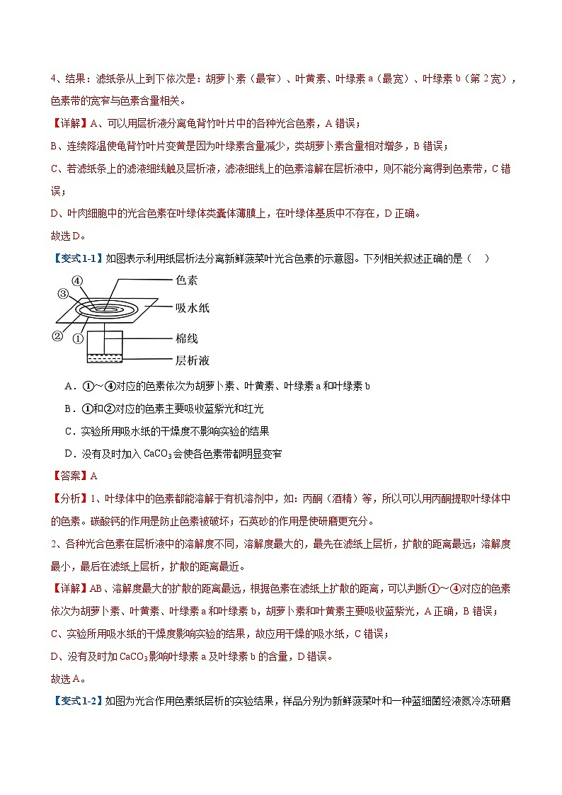 专题05 光合作用（9大题型）（解析版）第2页