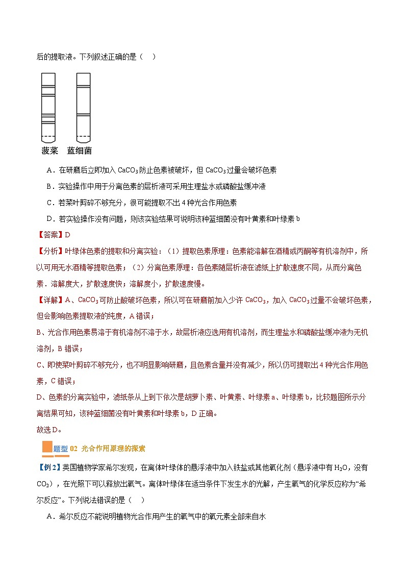专题05 光合作用（9大题型）（解析版）第3页