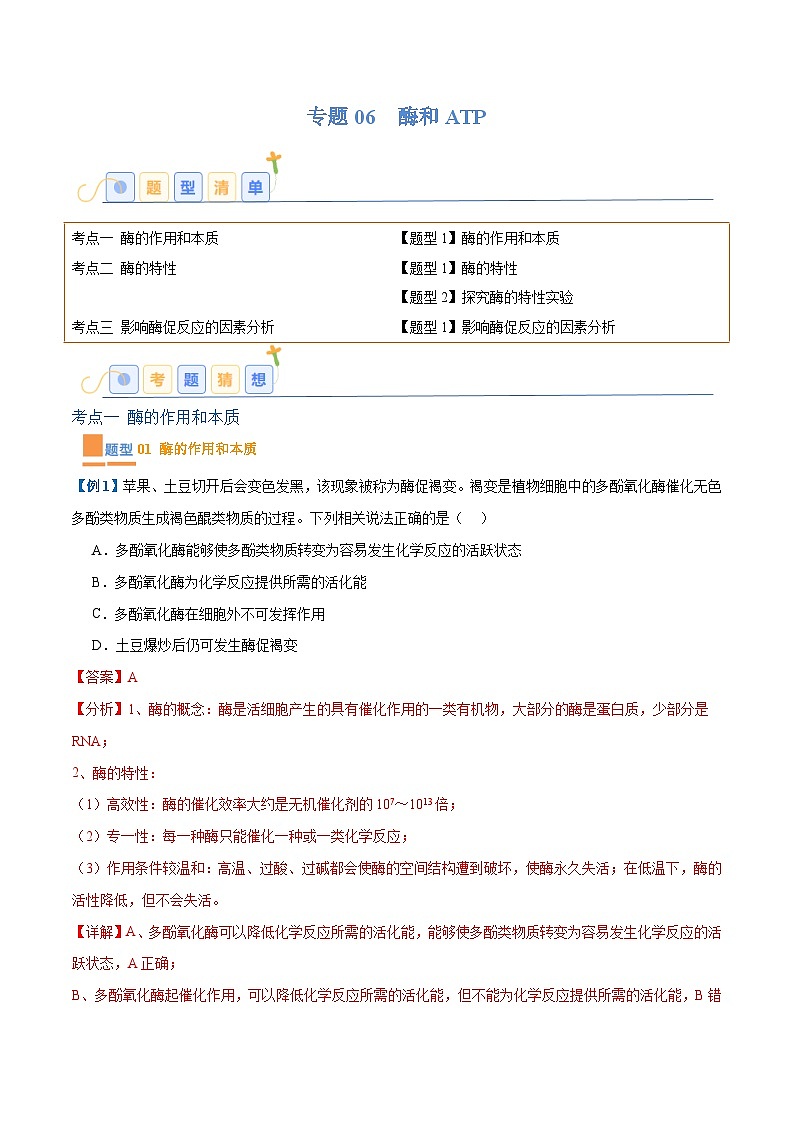 专题06 酶和ATP（4大题型）（解析版）第1页