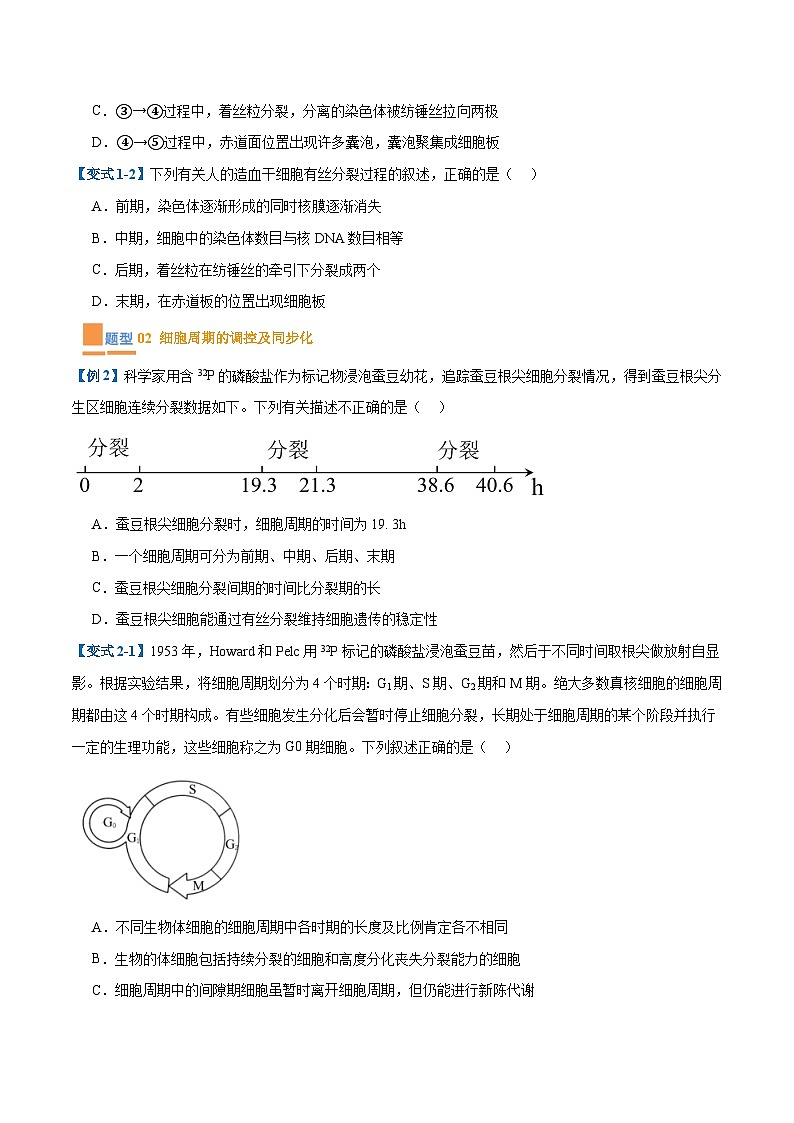 专题07 细胞的生命历程（7大题型）-2025年高考生物一轮复习题型冲关讲义（新高考通用）02