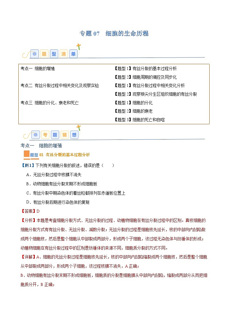专题07 细胞的生命历程（7大题型）-2025年高考生物一轮复习题型冲关讲义（新高考通用）01