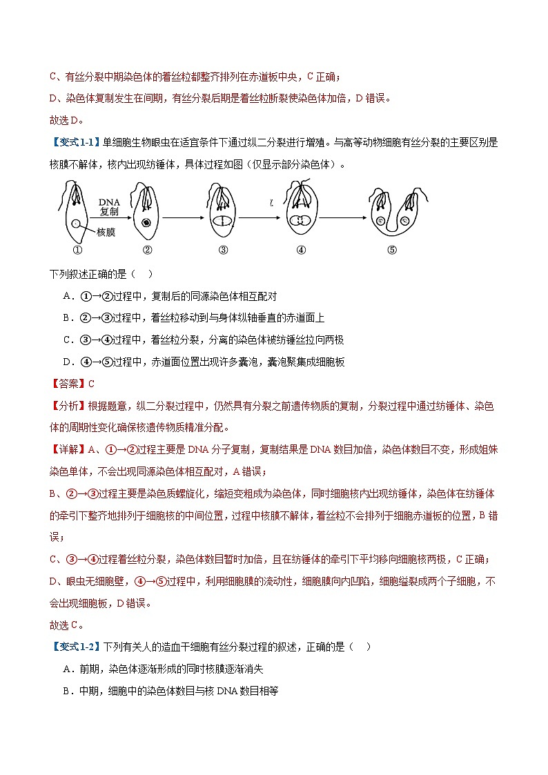 专题07 细胞的生命历程（7大题型）-2025年高考生物一轮复习题型冲关讲义（新高考通用）02