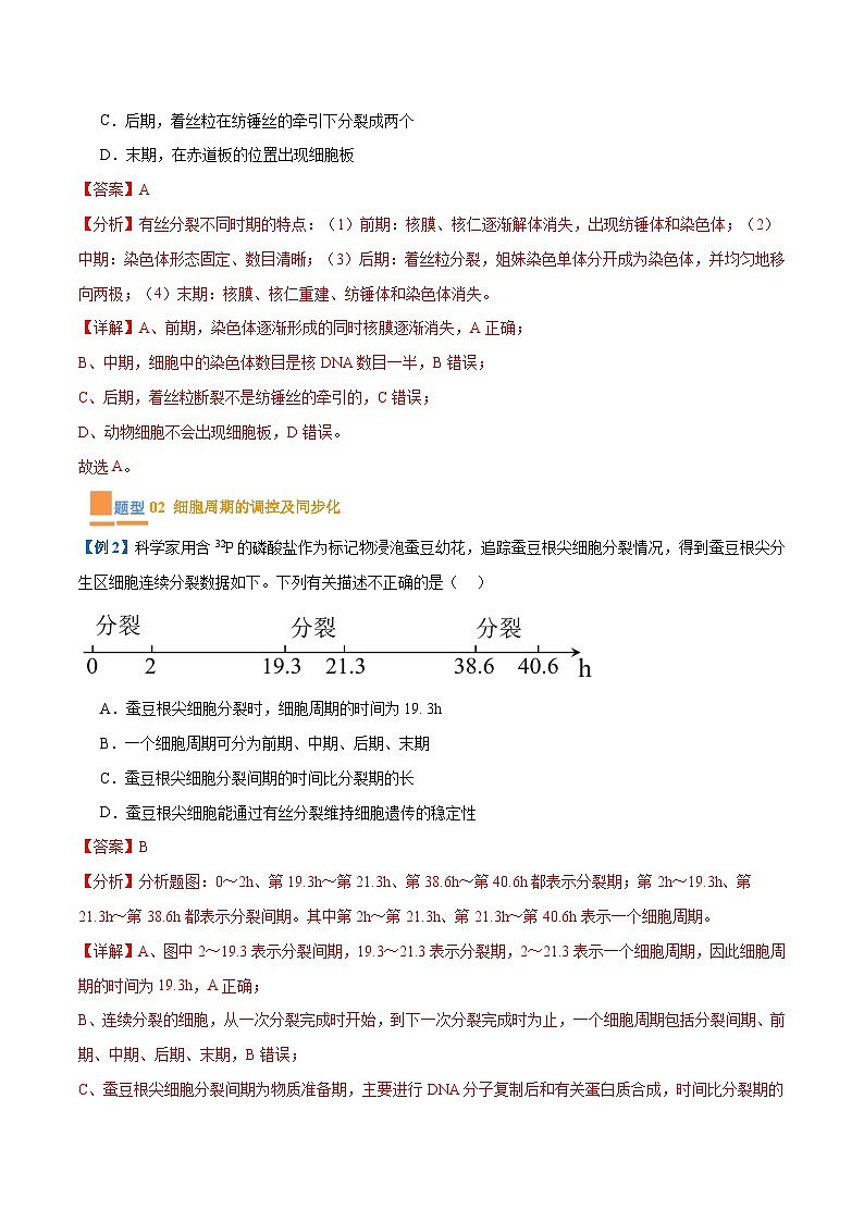 专题07 细胞的生命历程（7大题型）-2025年高考生物一轮复习题型冲关讲义（新高考通用）03