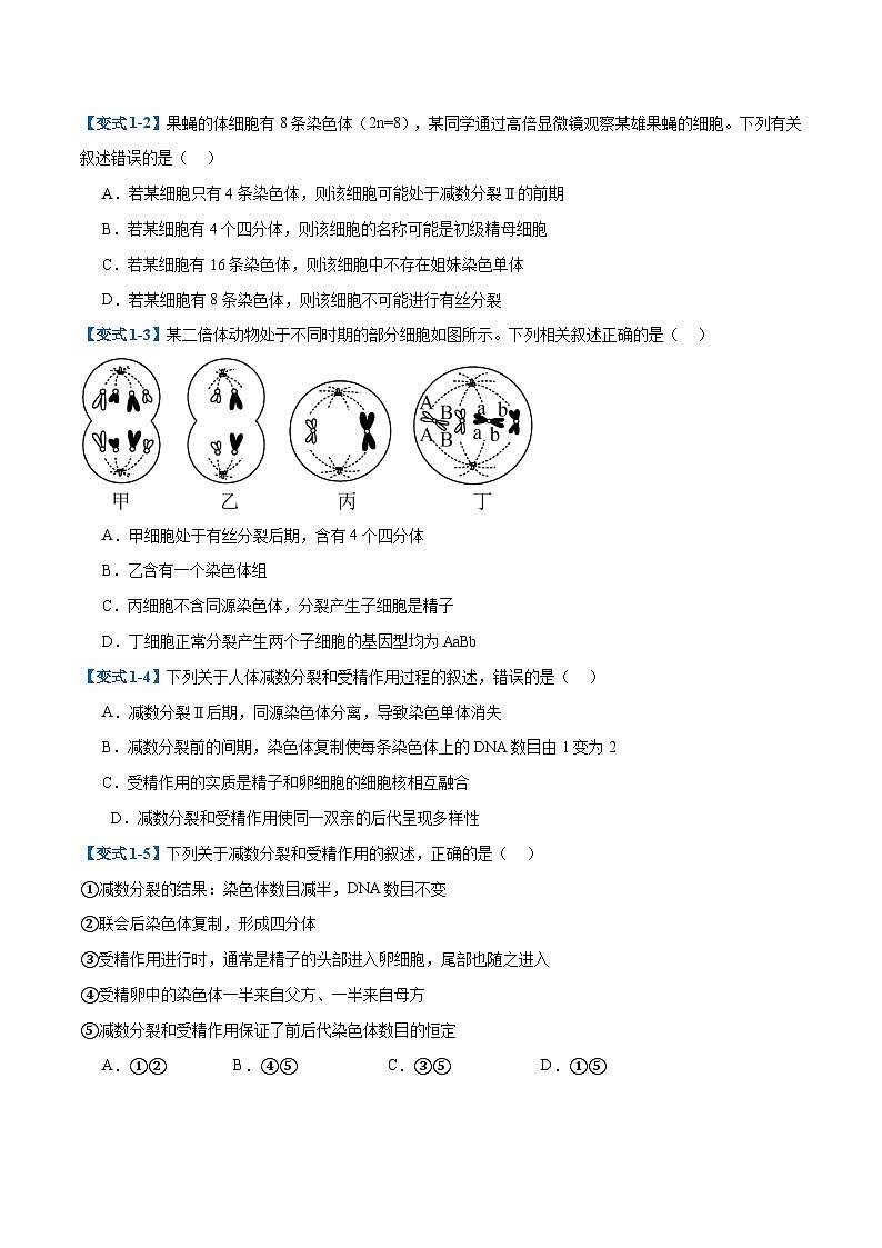 专题08 减数分裂和受精作用（5大题型）（原卷版）第2页