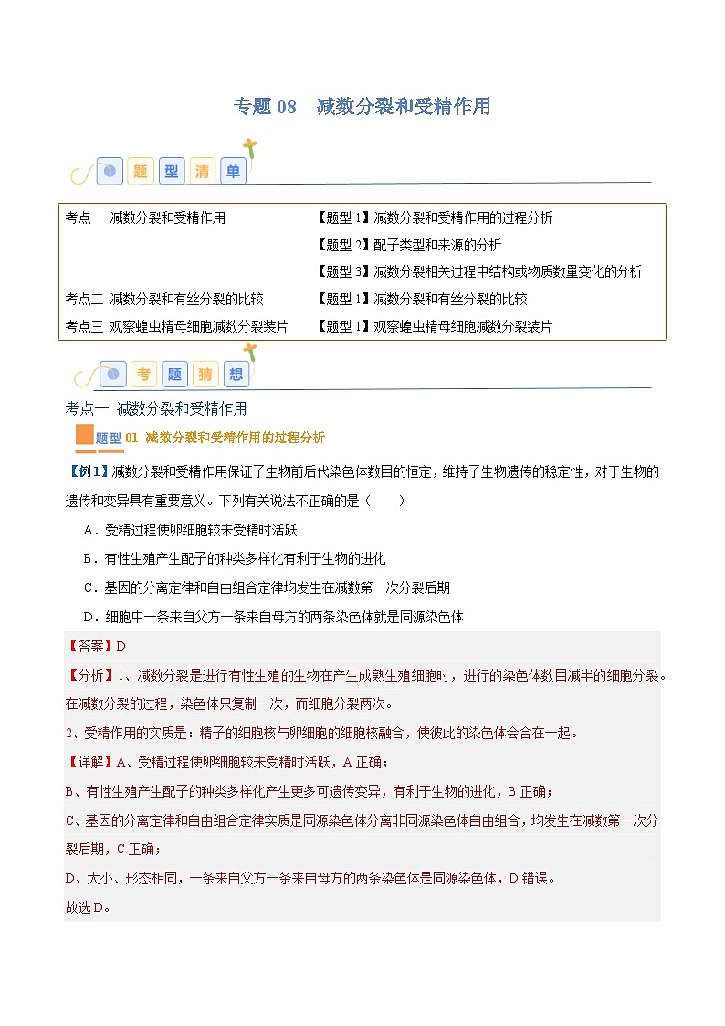 专题08 减数分裂和受精作用（5大题型）（解析版）第1页