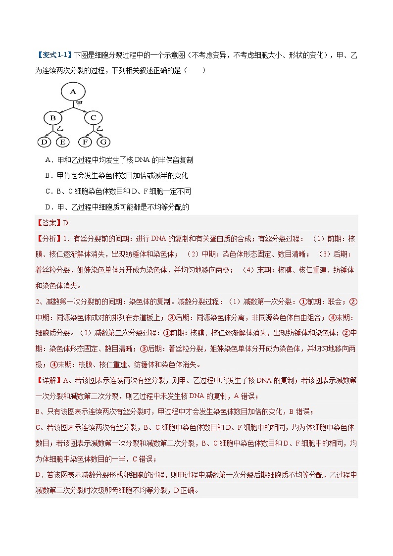 专题08 减数分裂和受精作用（5大题型）（解析版）第2页