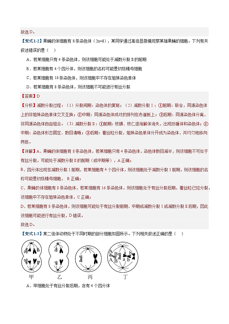 专题08 减数分裂和受精作用（5大题型）（解析版）第3页