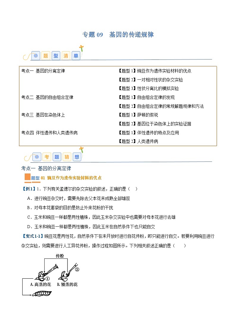 专题09 基因的传递规律（9大题型）（原卷版）第1页