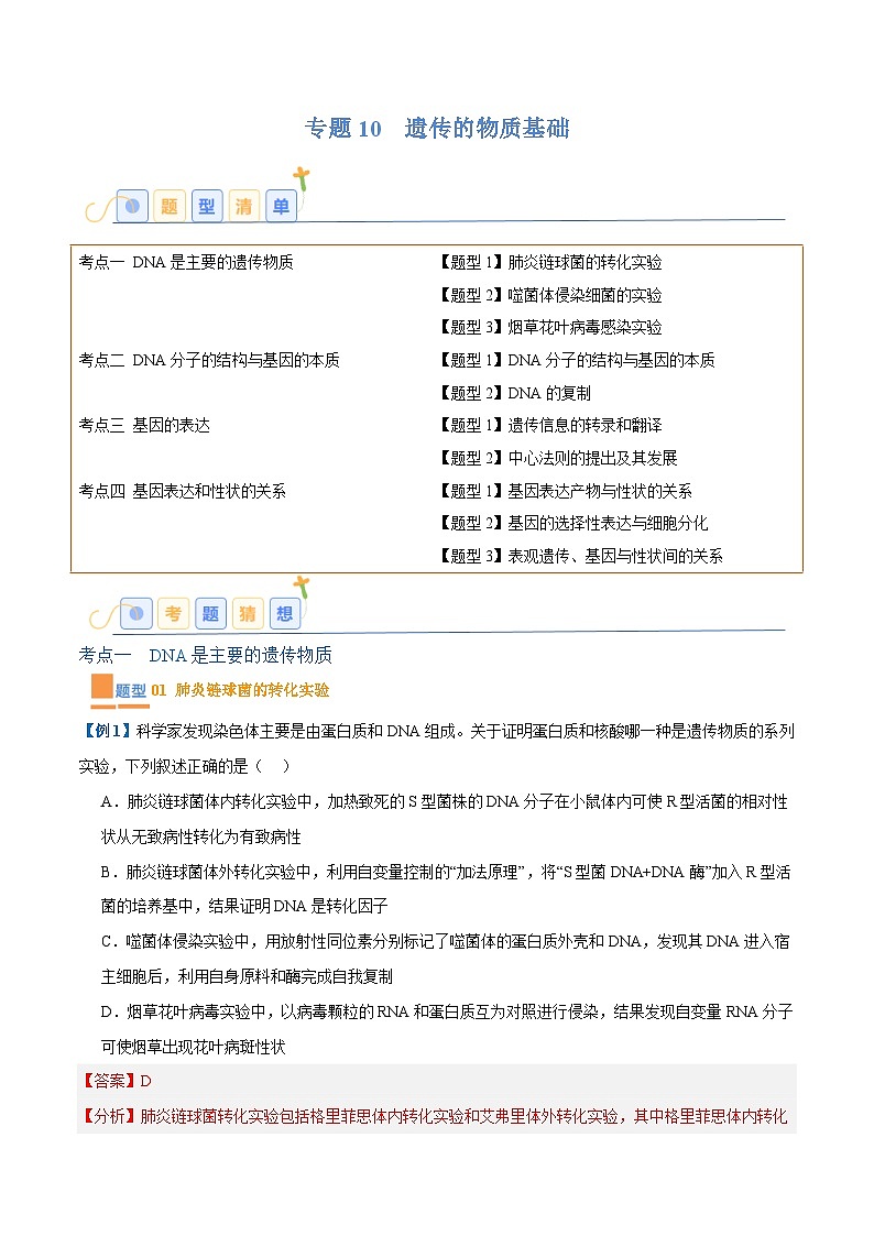 专题10 遗传的物质基础（10大题型）（解析版）第1页