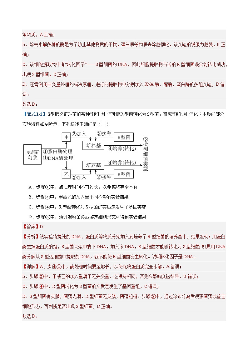 专题10 遗传的物质基础（10大题型）（解析版）第3页