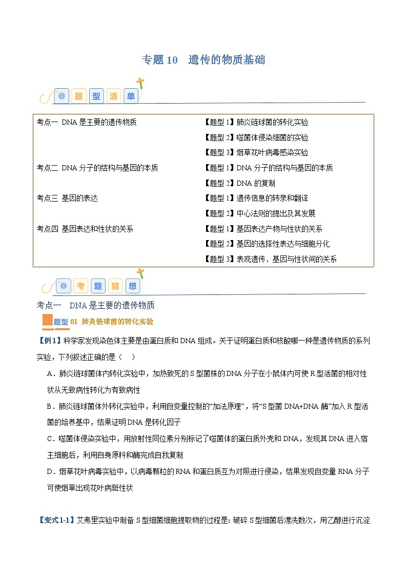专题10 遗传的物质基础（10大题型）（原卷版）第1页