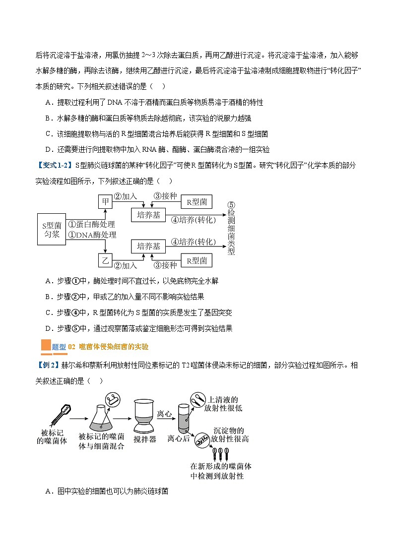 专题10 遗传的物质基础（10大题型）（原卷版）第2页