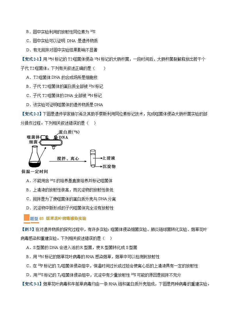 专题10 遗传的物质基础（10大题型）（原卷版）第3页