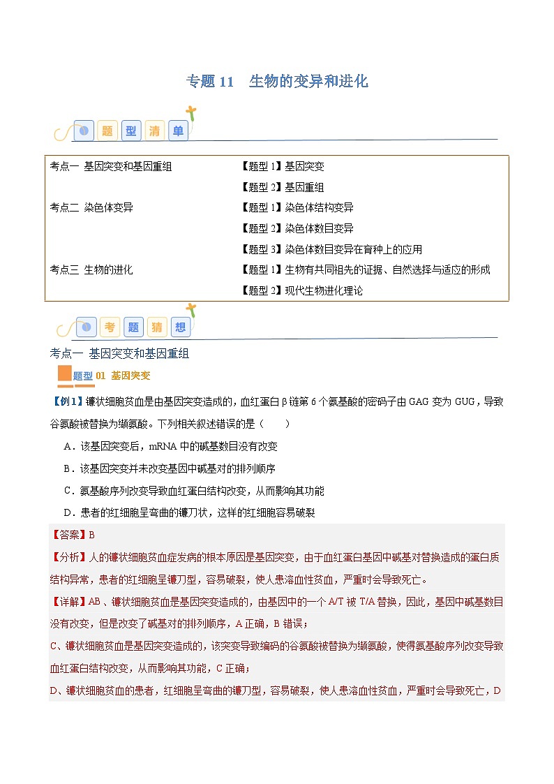 专题11 生物的变异和进化（7大题型）-2025年高考生物一轮复习题型冲关讲义（新高考通用）01
