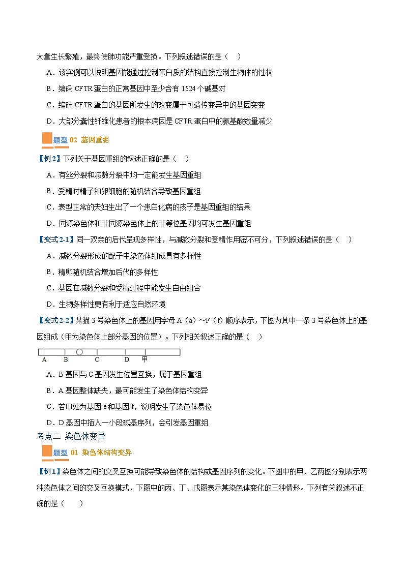 专题11 生物的变异和进化（7大题型）-2025年高考生物一轮复习题型冲关讲义（新高考通用）02
