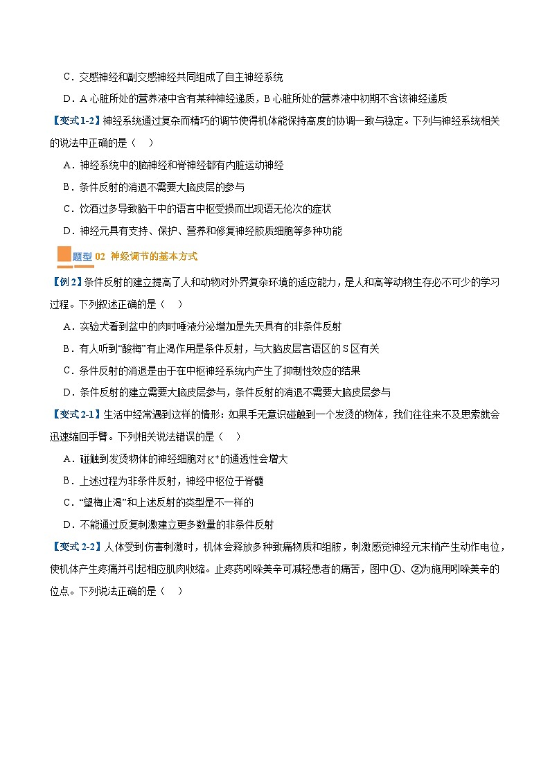 专题12 神经调节（6大题型）（原卷版）第2页