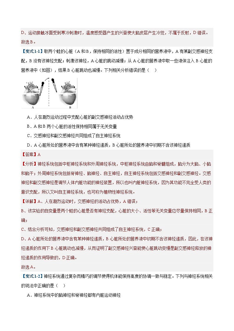 专题12 神经调节（6大题型）（解析版）第2页