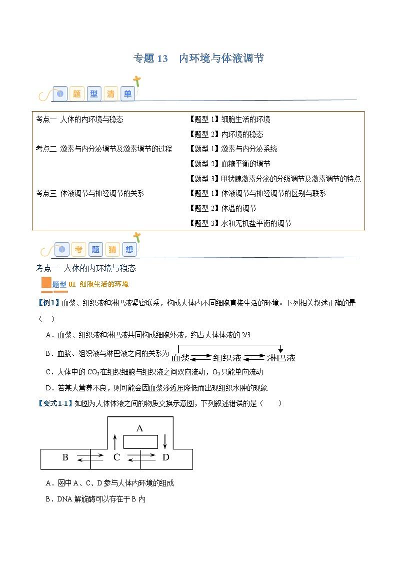 专题13 内环境与体液调节（8大题型）（原卷版）第1页