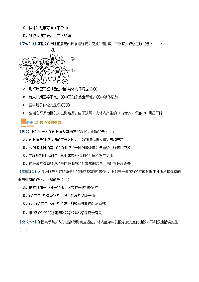 专题13 内环境与体液调节（8大题型）（原卷版）第2页
