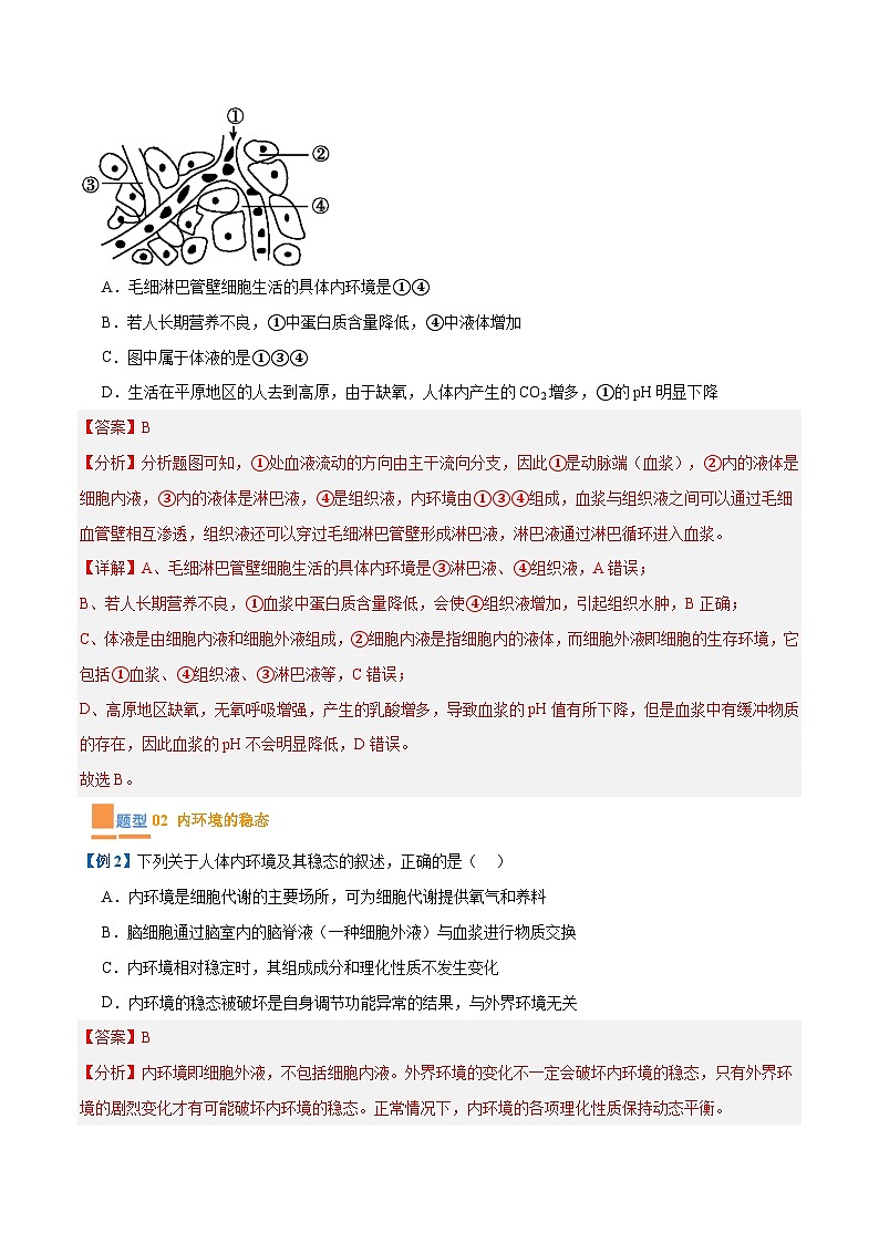 专题13 内环境与体液调节（8大题型）（解析版）第3页