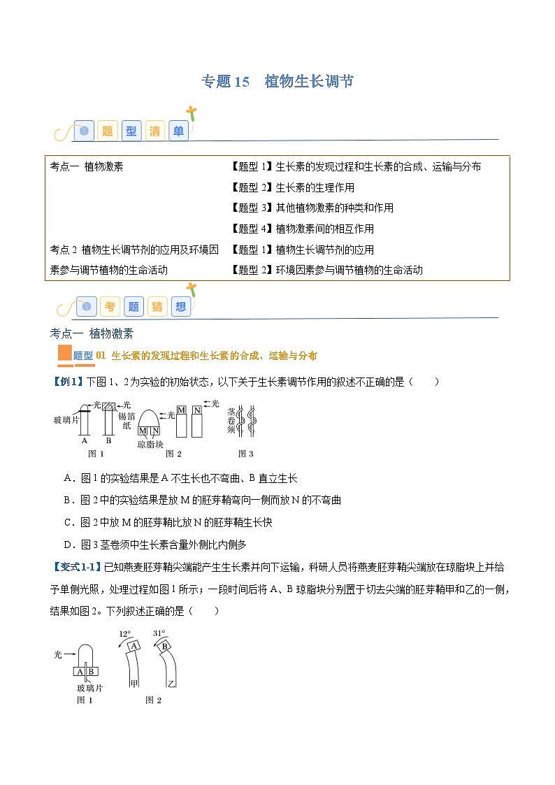 专题15 植物生长调节（6大题型）（原卷版）第1页