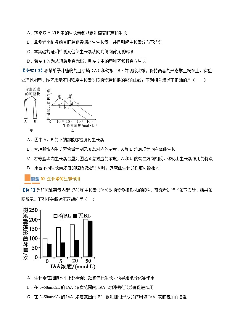 专题15 植物生长调节（6大题型）（原卷版）第2页