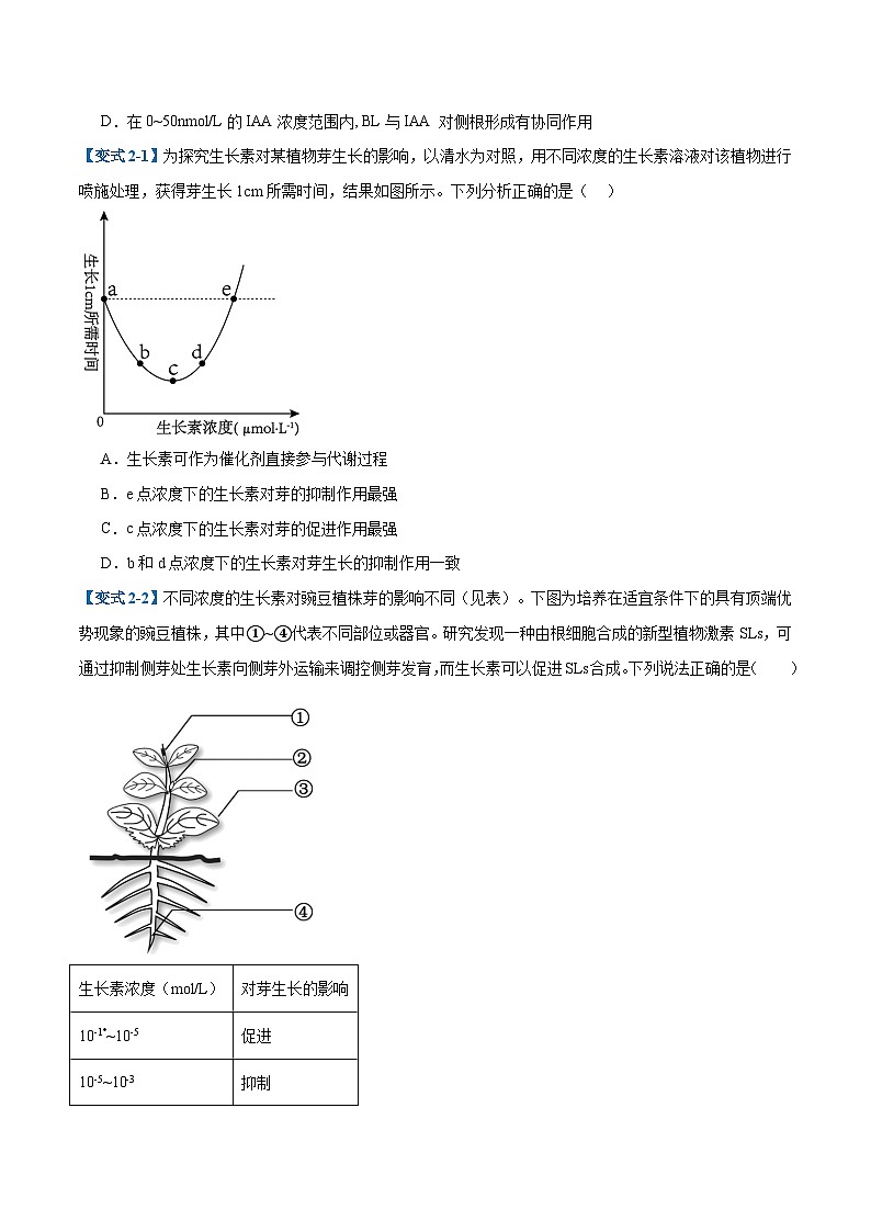 专题15 植物生长调节（6大题型）（原卷版）第3页