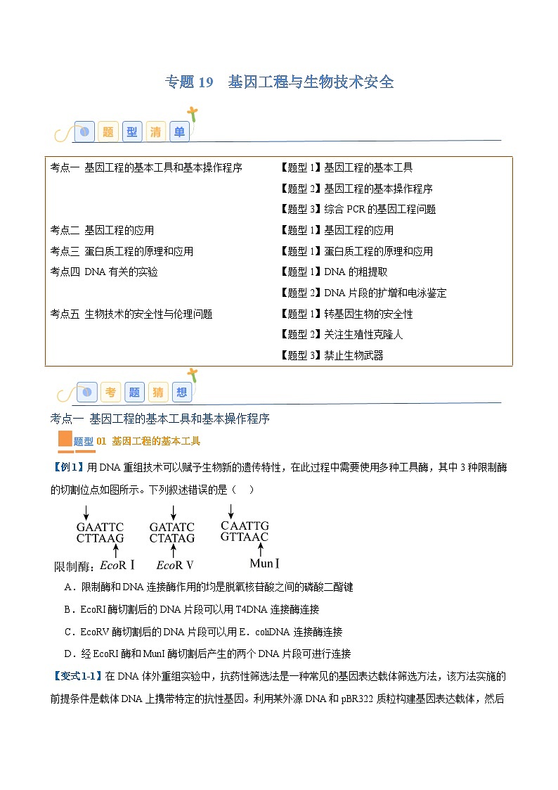 专题19 基因工程与生物技术安全（10大题型）（原卷版）第1页