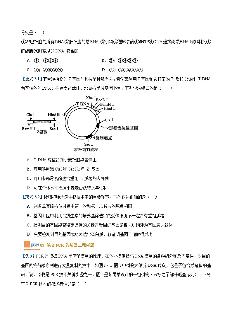 专题19 基因工程与生物技术安全（10大题型）（原卷版）第3页