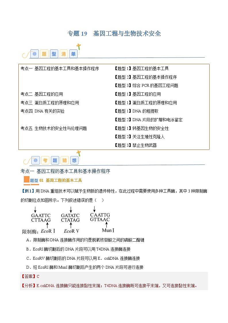 专题19 基因工程与生物技术安全（10大题型）（解析版）第1页