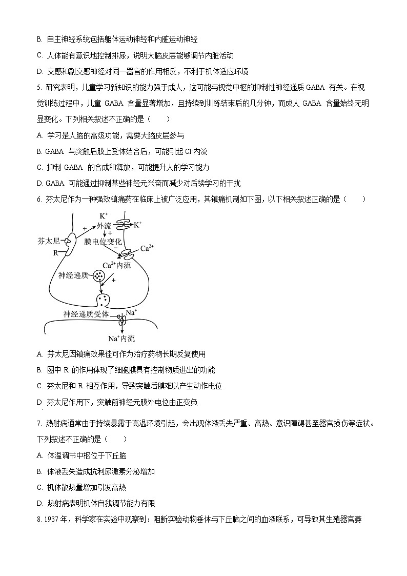 北京大学附属中学2023-2024学年高二上学期期中生物试题  Word版无答案第2页