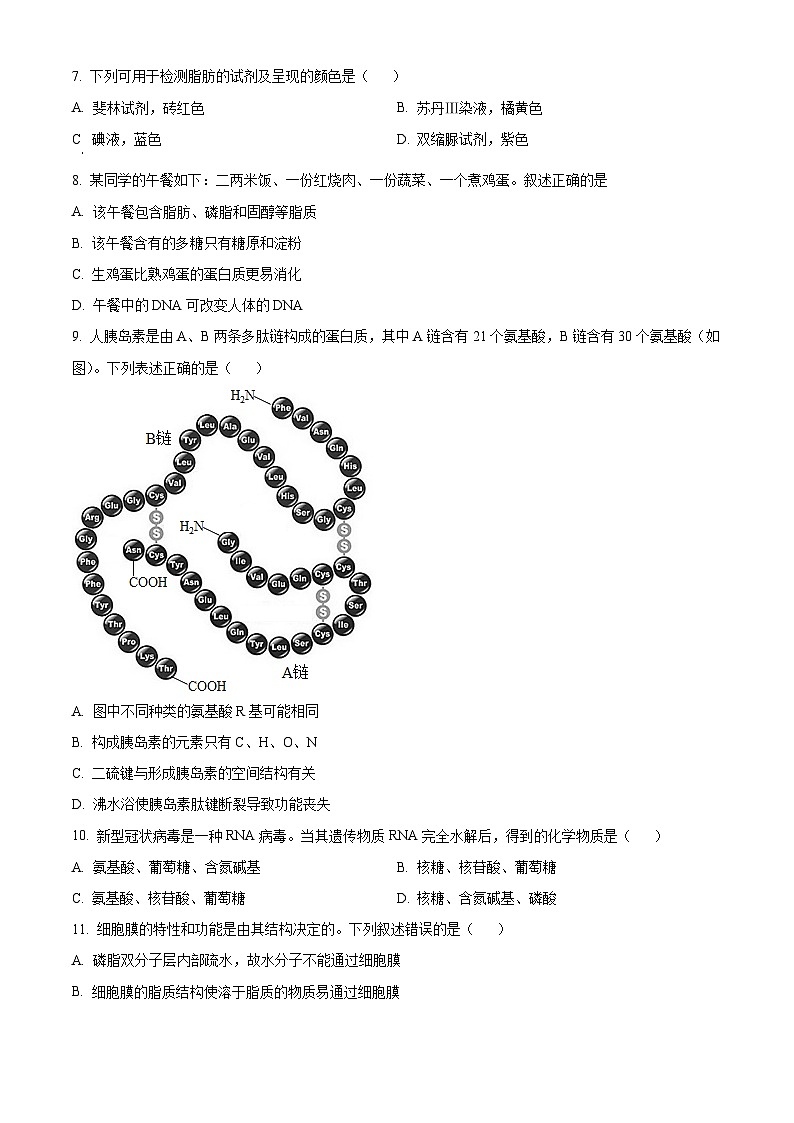 北京师范大学附中2023-2024学年高一上学期期中生物试题  Word版无答案第2页
