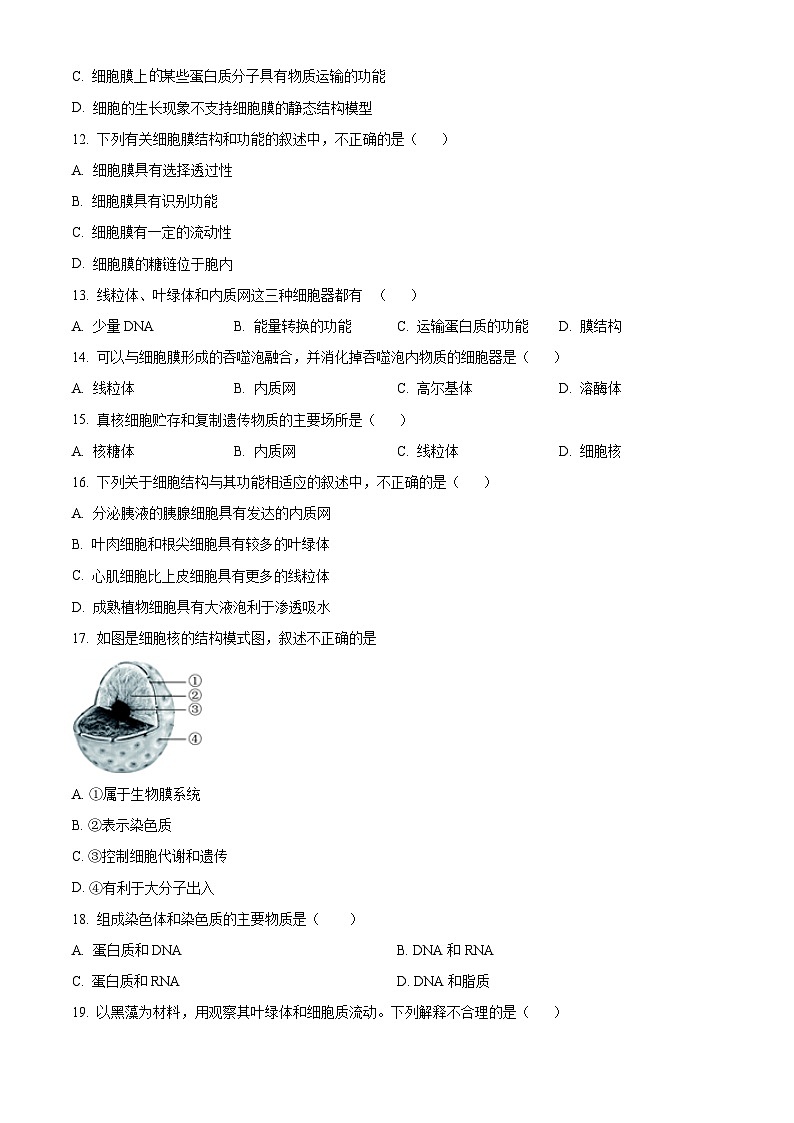 北京师范大学附中2023-2024学年高一上学期期中生物试题  Word版无答案第3页