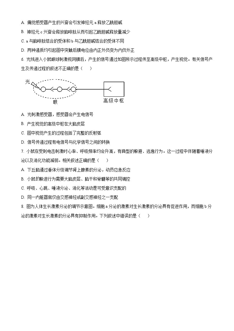 北京市第八中学2023-2024学年高二上学期期中考试生物试卷（Word版附解析）02