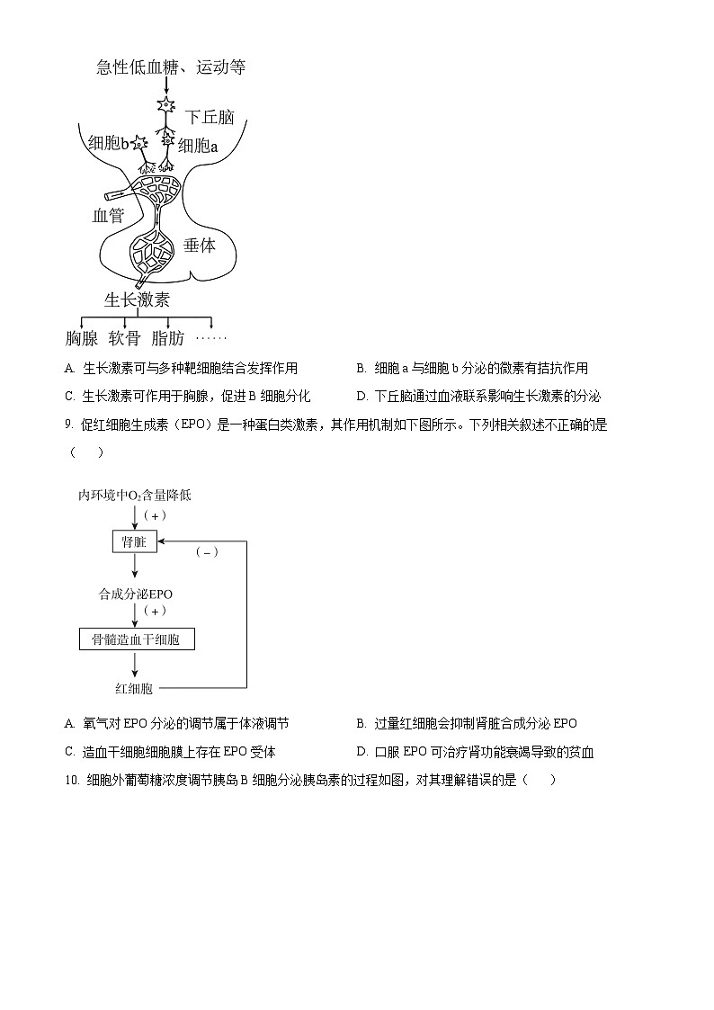 北京市第八中学2023-2024学年高二上学期期中考试生物试卷（Word版附解析）03