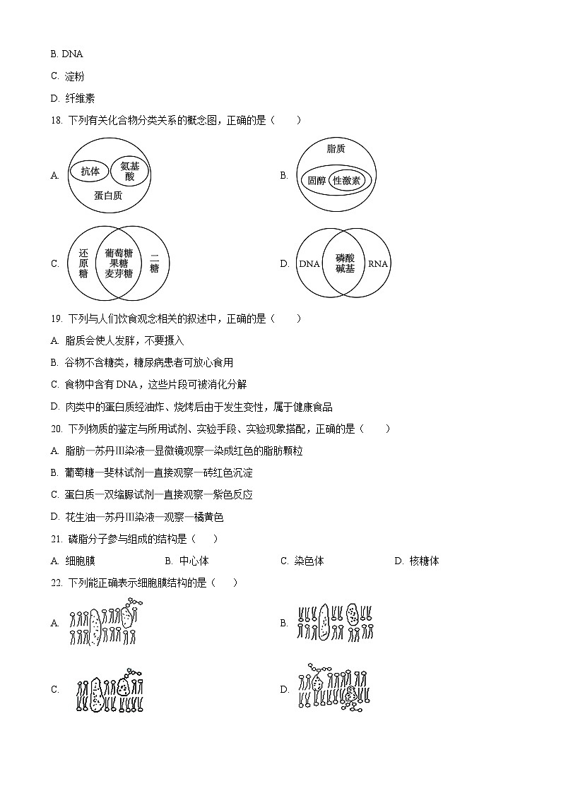 北京市怀柔区青苗学校2023-2024学年高一上学期期中考试生物试卷（Word版附解析）03