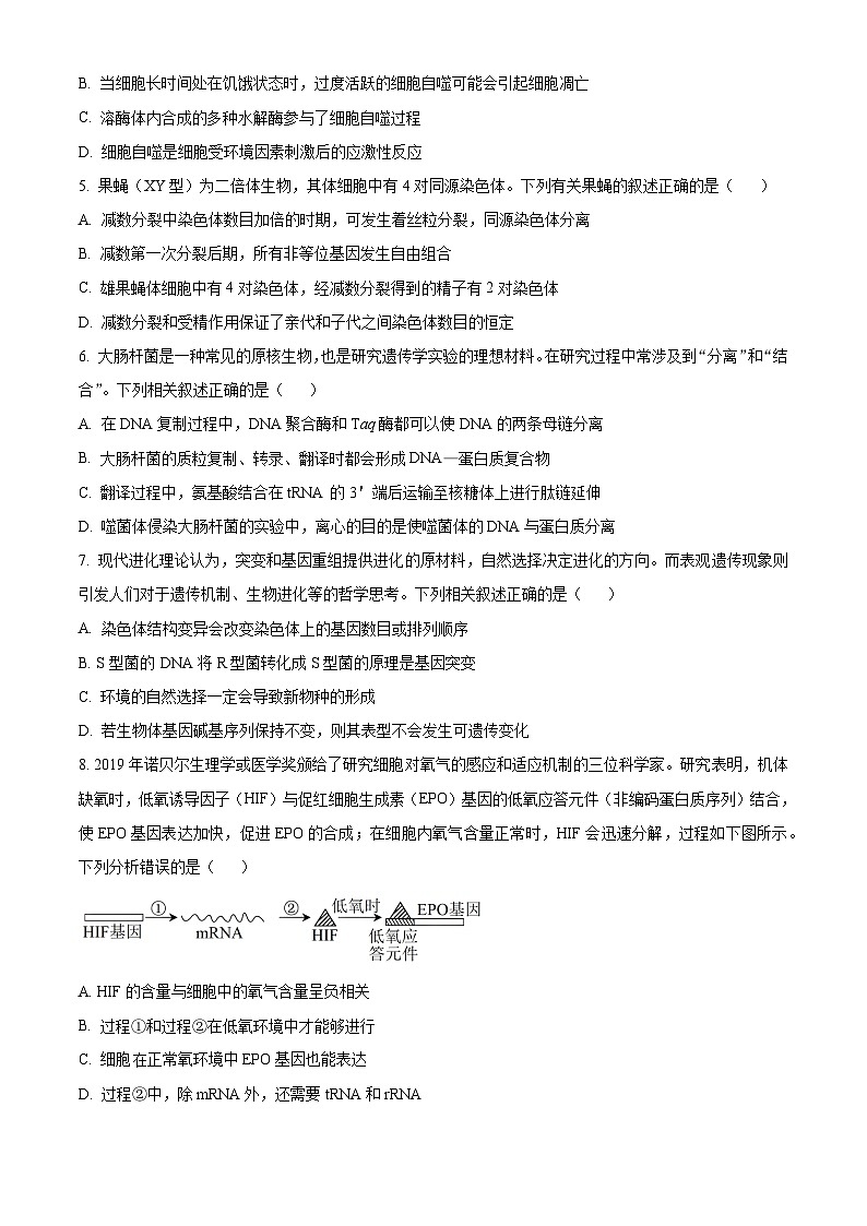 贵州省贵阳市第一中学2024-2025学年高三上学期9月月考生物试卷（Word版附解析）第2页