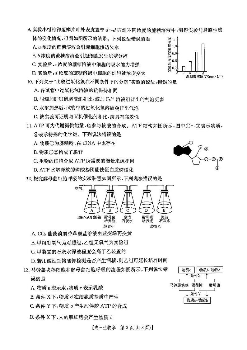 陕西省渭南市华州区咸林中学2024-2025学年高三上学期第二次月考生物试题第3页