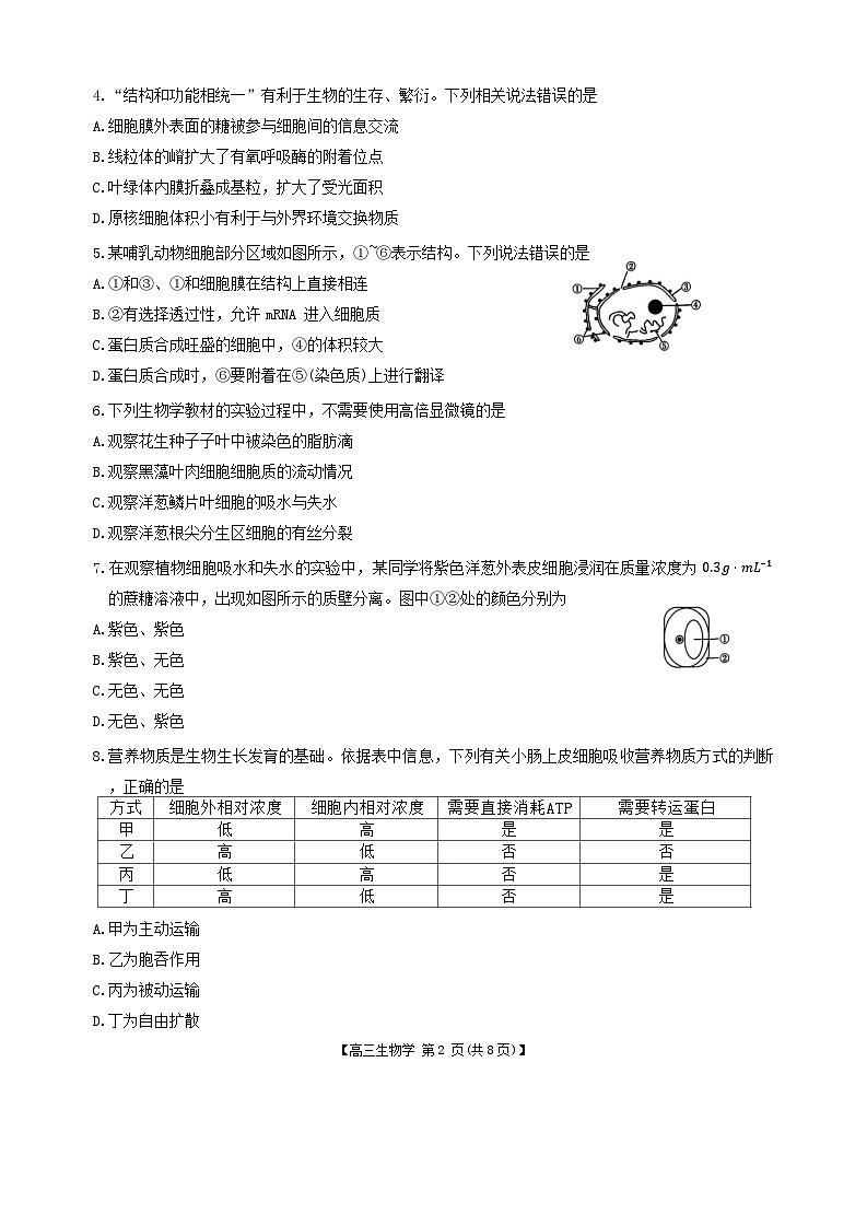 陕西省渭南市华州区咸林中学2024-2025学年高三上学期第二次月考生物试题第2页