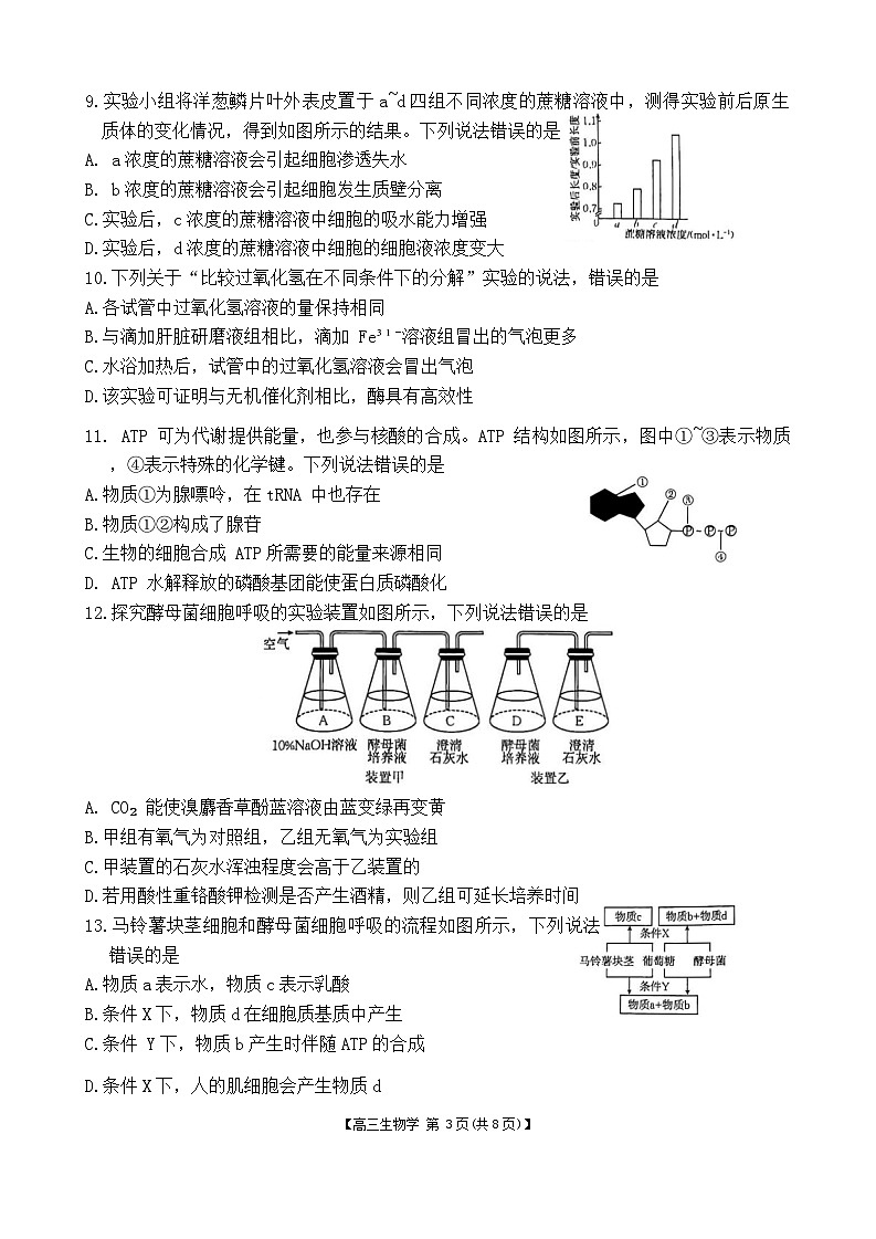 陕西省渭南市华州区咸林中学2024-2025学年高三上学期第二次月考生物试题第3页