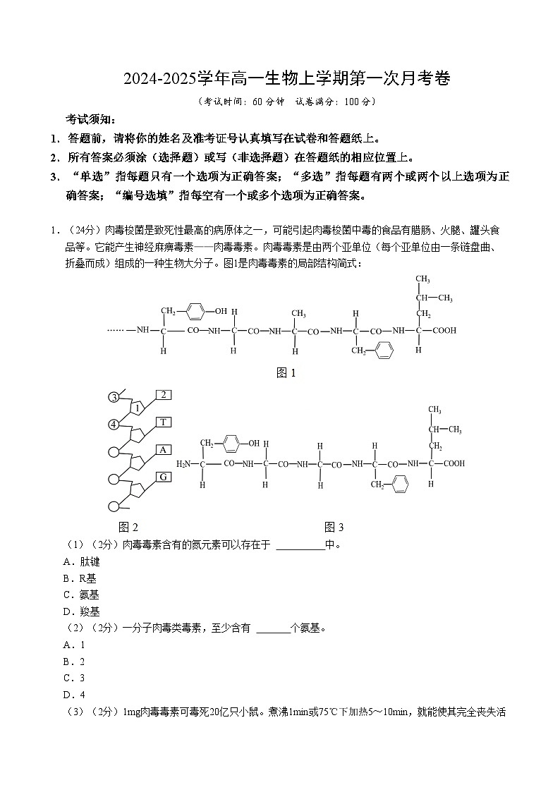 高一生物第一次月考卷（考试版A4）（上海专用）第1页
