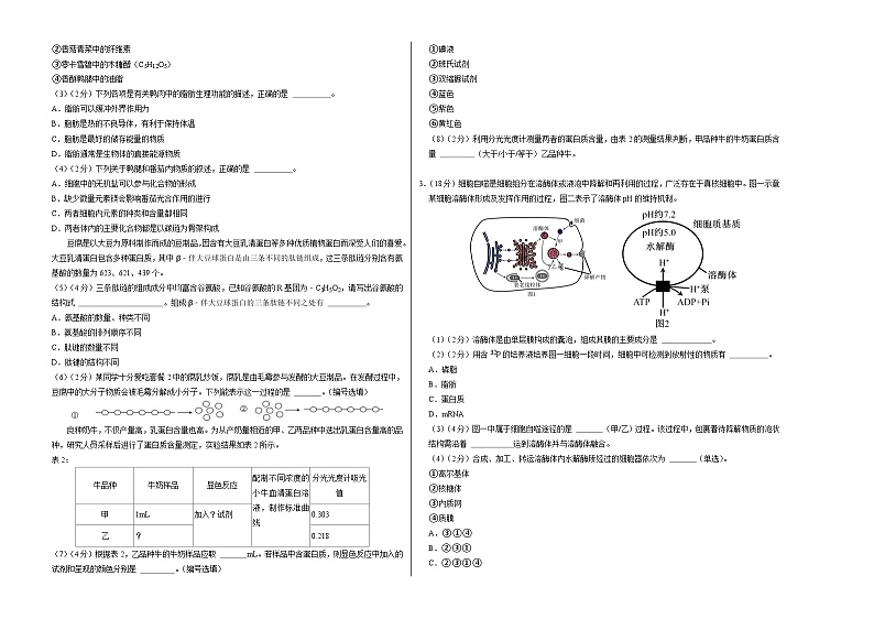 高一生物第一次月考卷（考试版A3）（上海专用）第2页